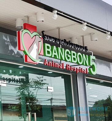 ออกแบบตกแต่งโรงพยาบาลสัตว์บางบอน5-bangbon5animalhospital3